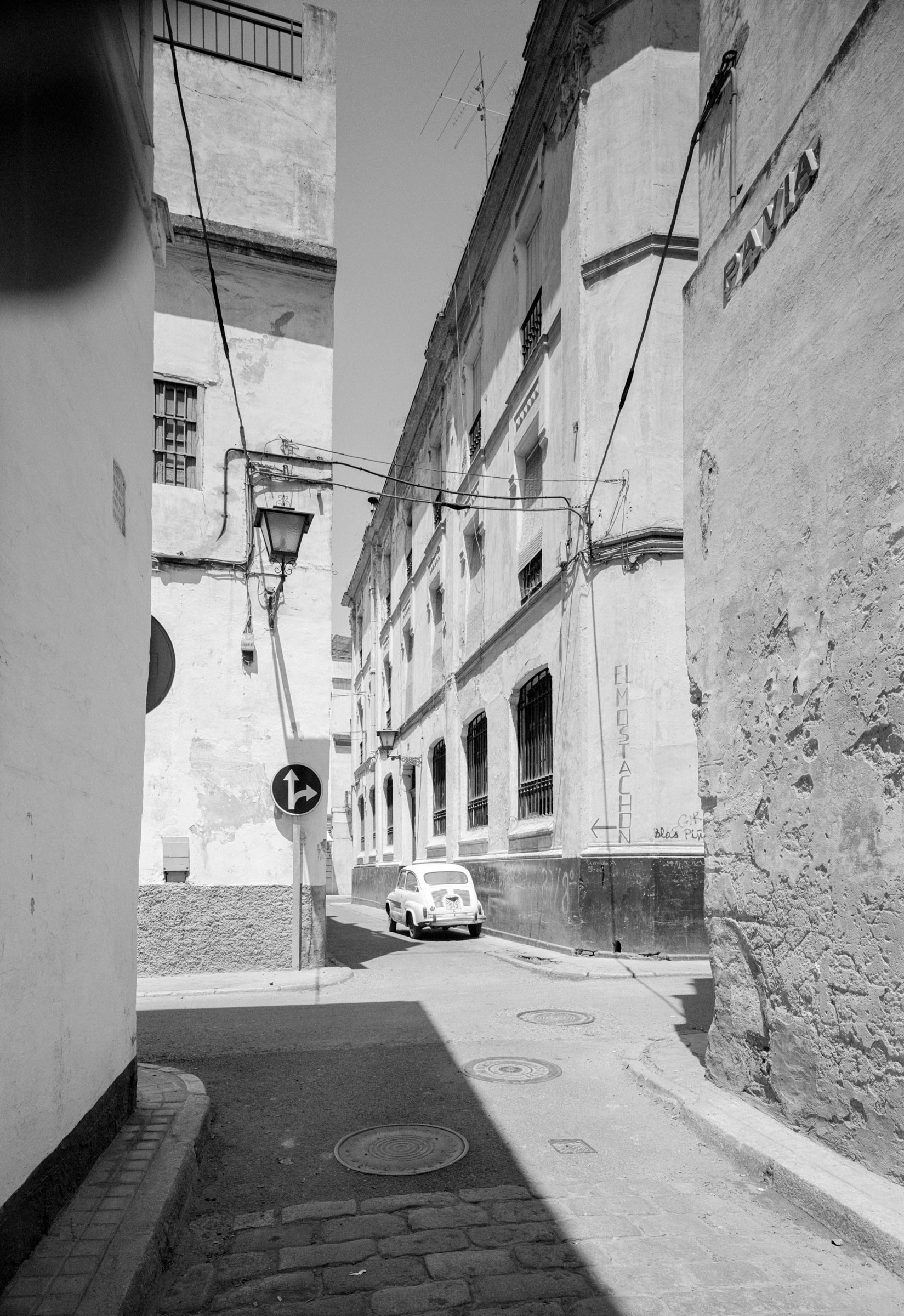 Egg alley Spain